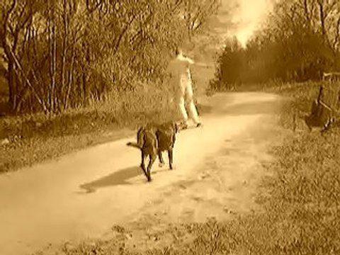 our-evolution-skate nollie pop shov it mag