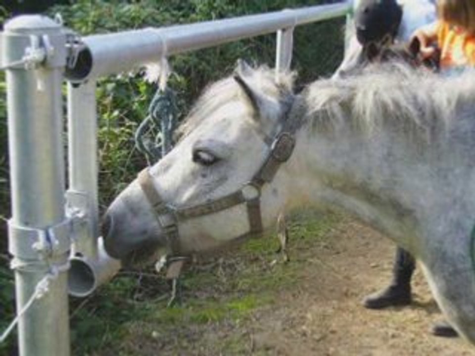 Wiissenn booouuurrrggg