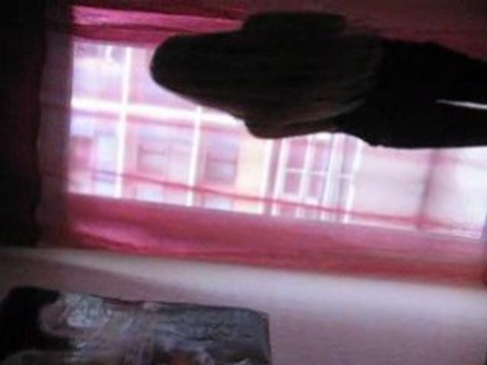 Photo 011