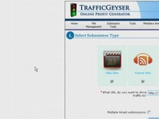 (Tube Mogul)vs(Traffic Geyser)Patricia Whitehead
