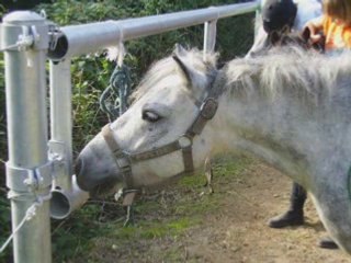 Parceque je vous aime grave