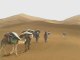 Le Silence du Désert  voyage dans Sahara marocain