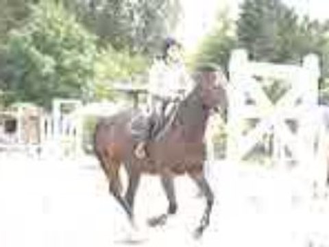 Cours d'obstacle ligne+oxer