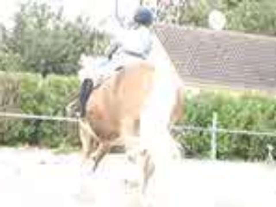 cours obstacle ligne+oxer