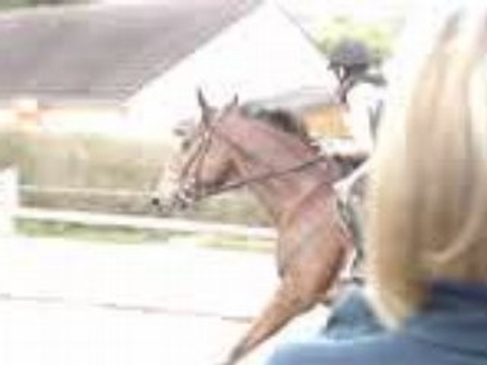 Cours d'obstacle ligne+oxer