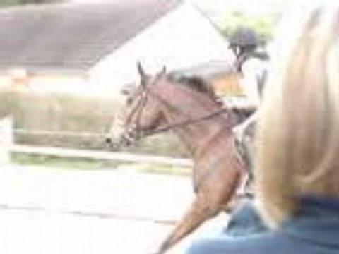 Cours d'obstacle ligne+oxer