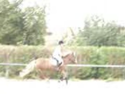 Cours d'obstacle ligne+oxer