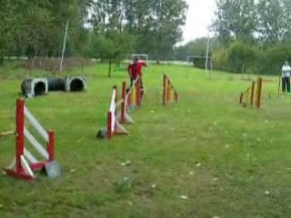 Agility stage  Belges wittes alain R 13 08 2008 025