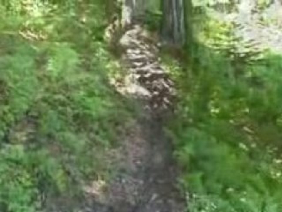 La gadoue, la gadoue…