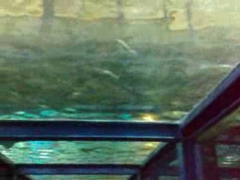 Seaquarium du Grau du Roi