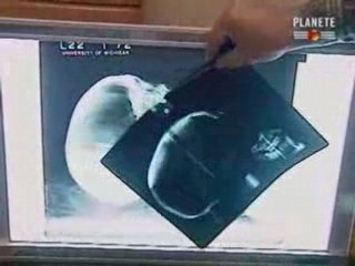 Video Akhenaton et Néfertiti - EP 3 PART2l2