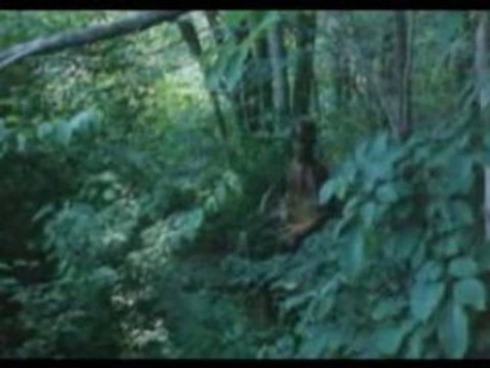 A Night To Dismember - Le zombie du lac