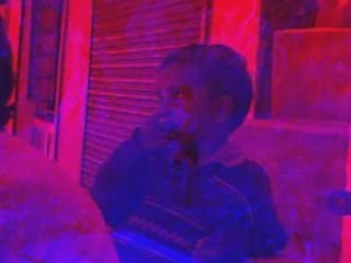 Cows women kids dogs & sweets