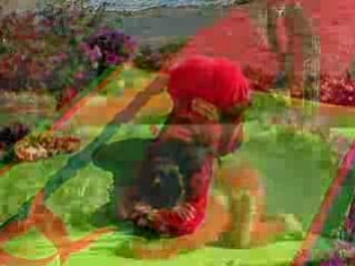 Wailana Yoga Lizard pose