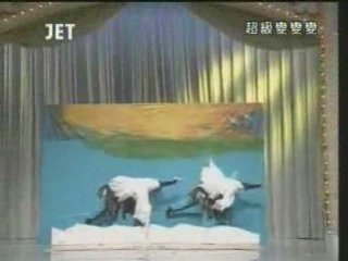 53回13番 ツルの舞い