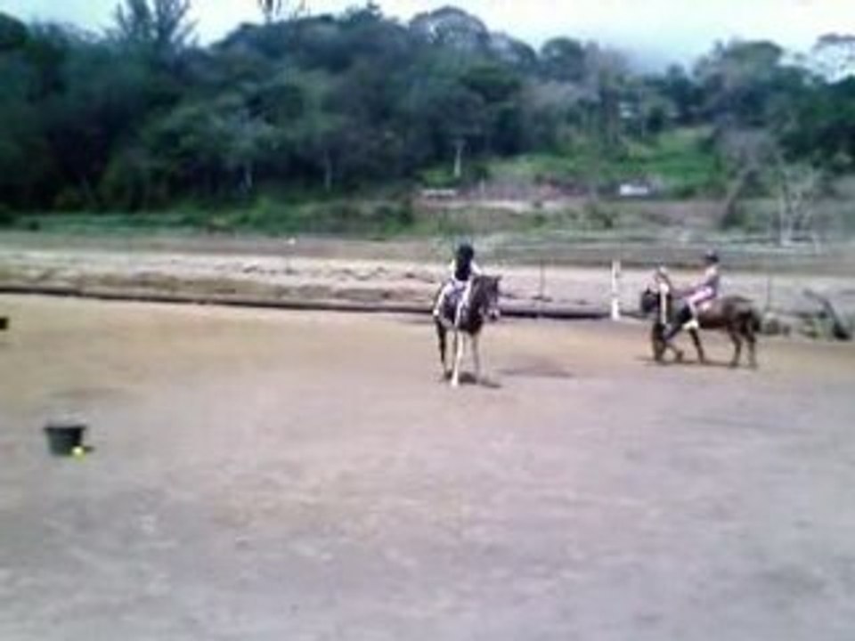 Canasson