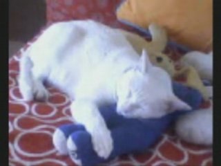 La petite troupe de clémence