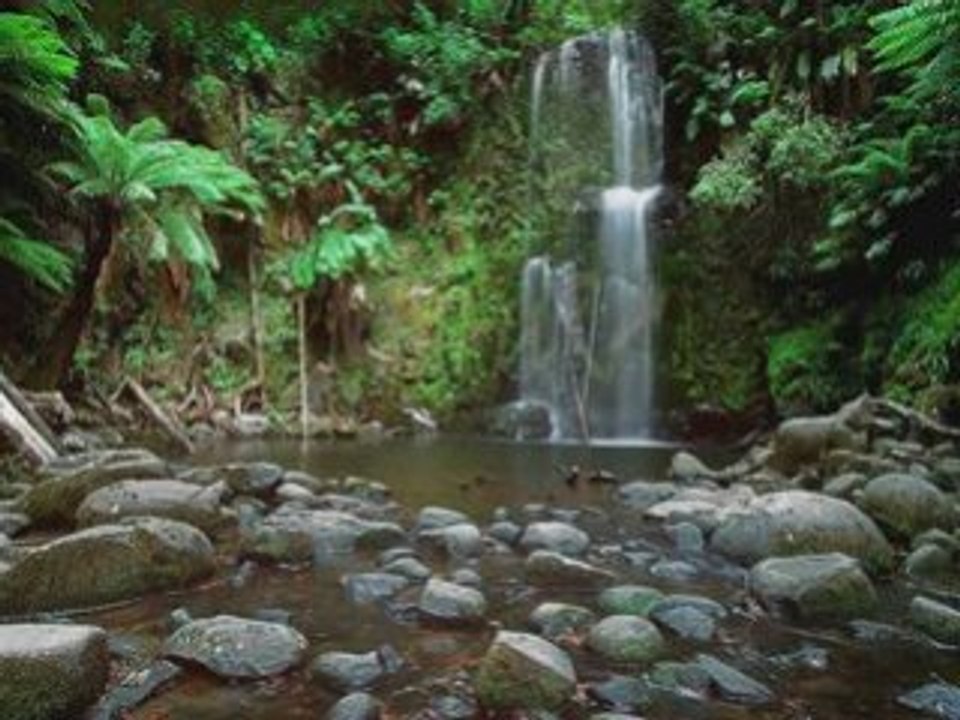 Natura