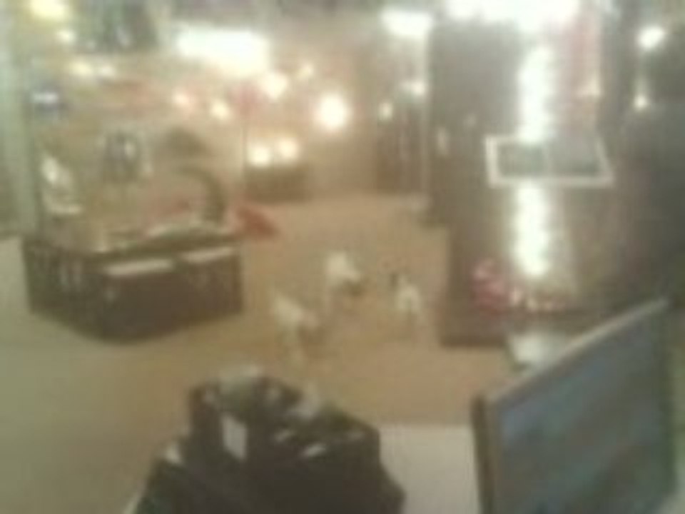 Au magasin 1