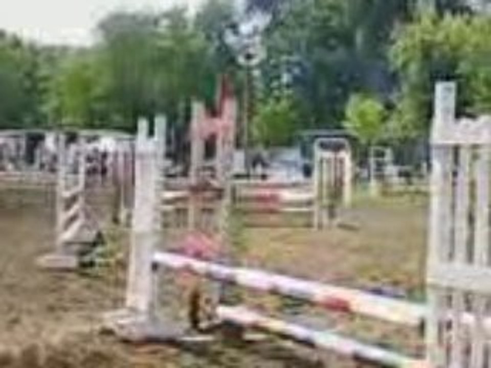 premier concour exterieur de champion