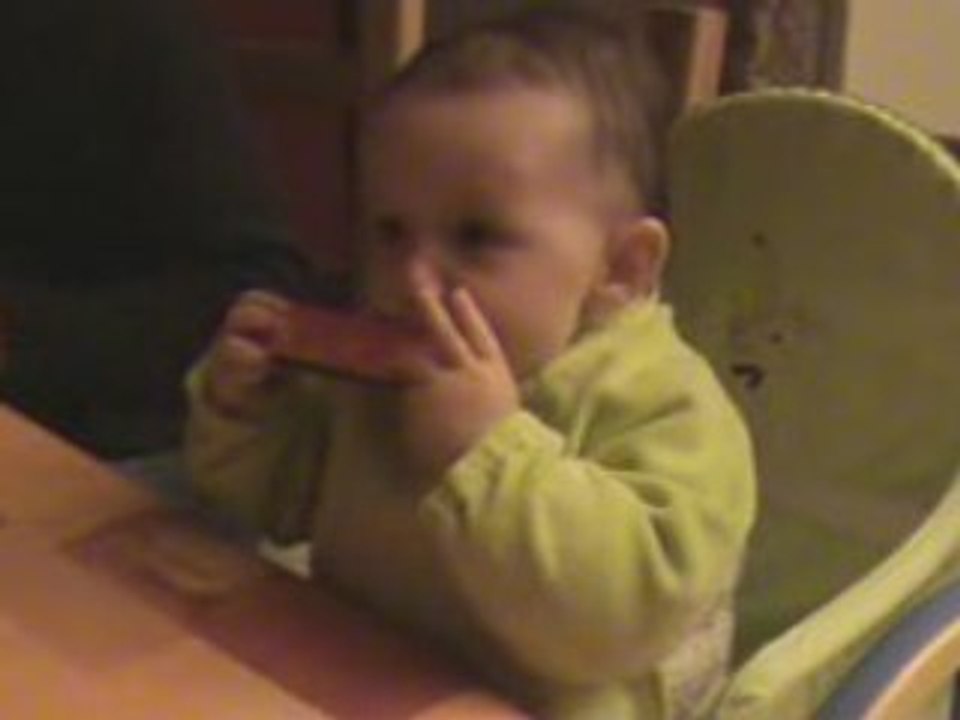 harmonica ...
