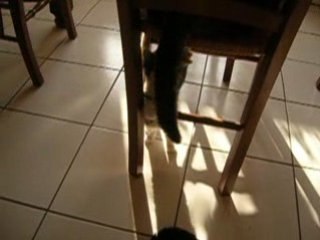 les aventure de pti loup!!