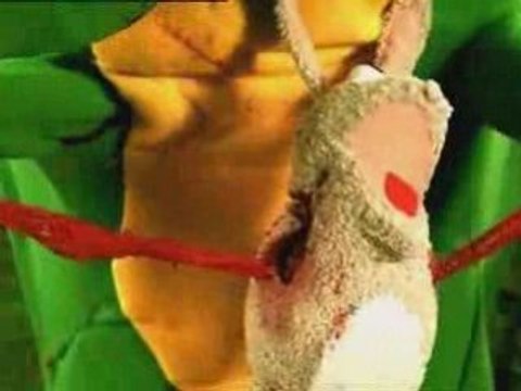 Pub-13Eme-Rue-Gali-Alligator