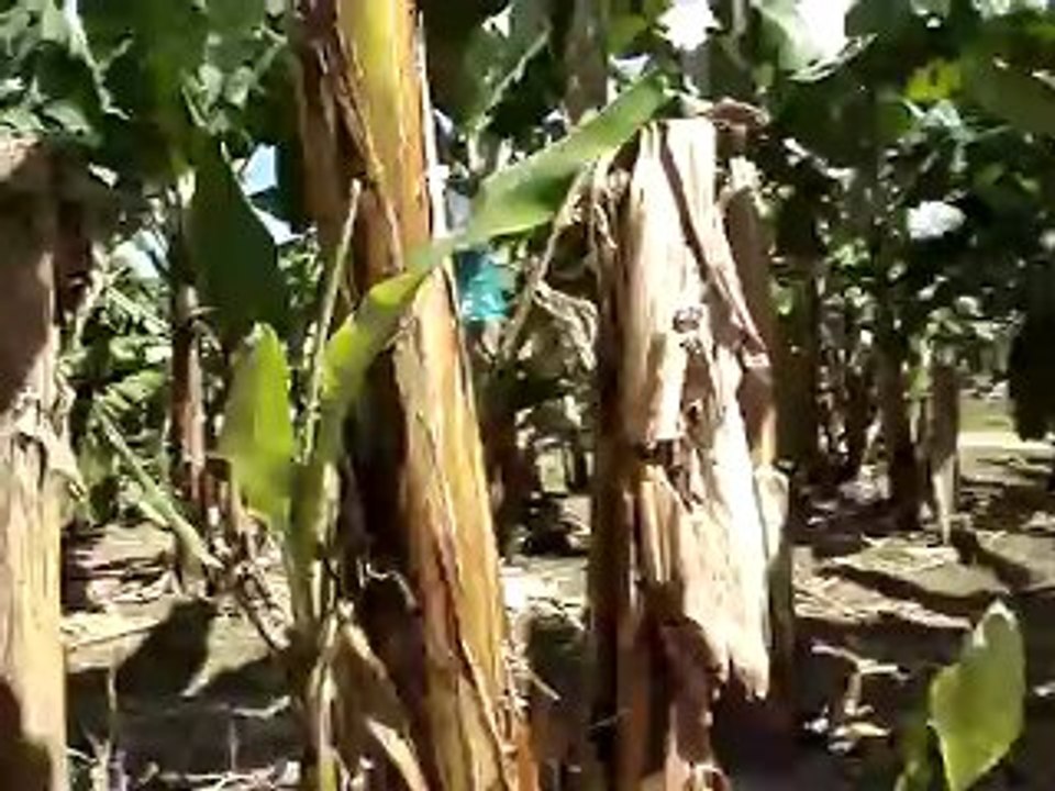 Assis sur mon tracteur