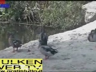 Hulken (f. b.) VI FILMA ANATRE A VOLONTA' (10) ( ! )