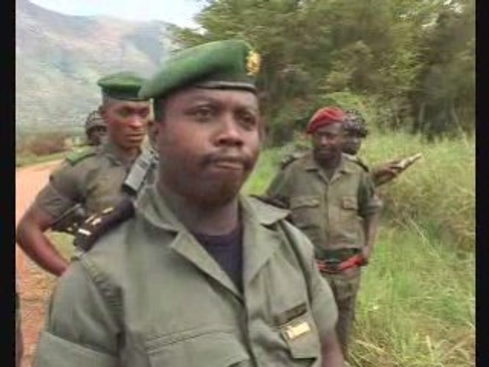 RDC Est déplacés