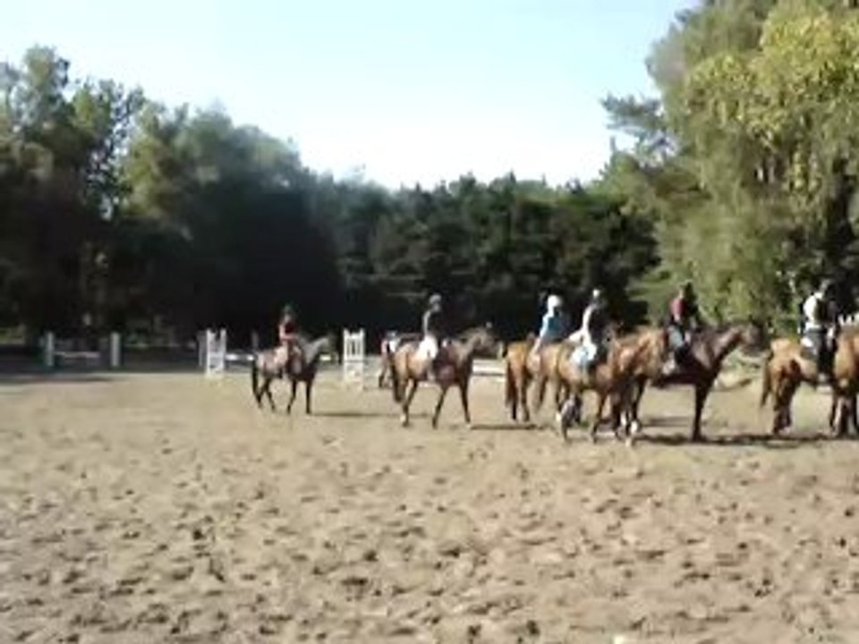 Cross Avec Maestro