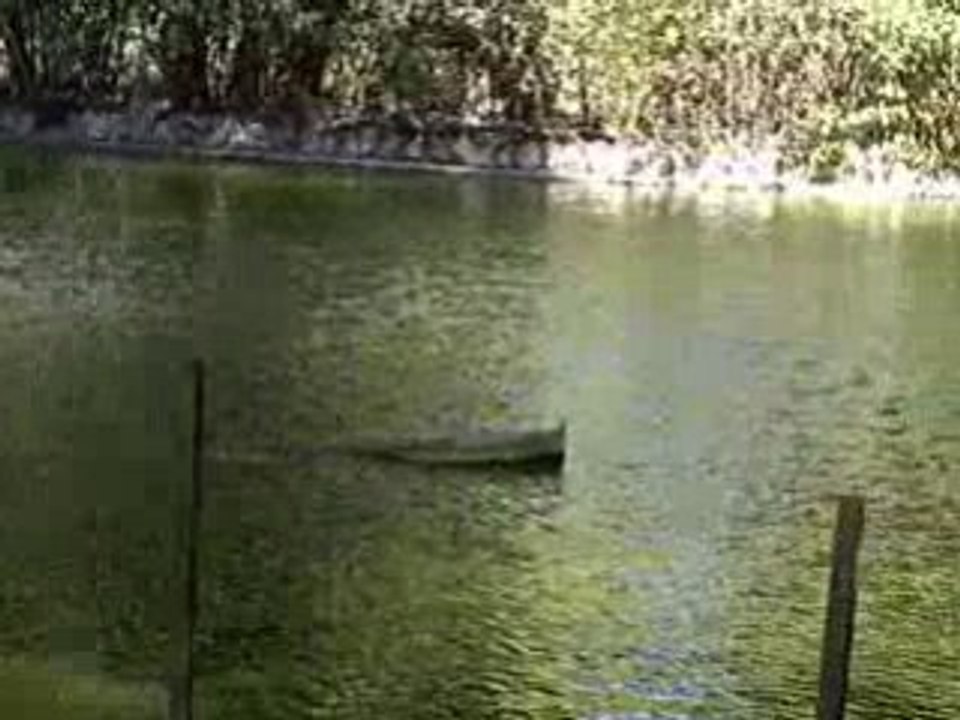 La fête des bateaux