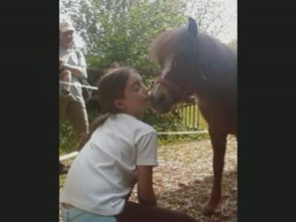 Poney-nature  poneys