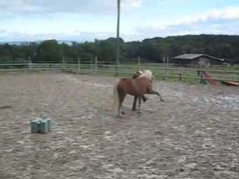 Wodka au pas espagnole