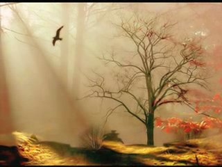 Jordi Savall - Lamento Della Ninfa - Video