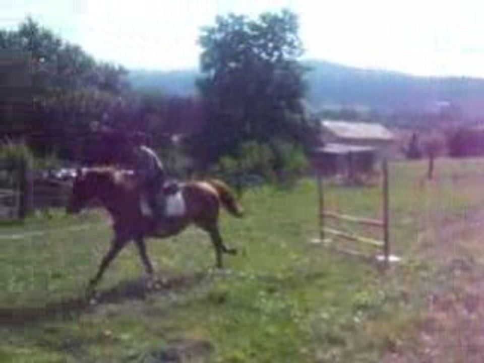 1er