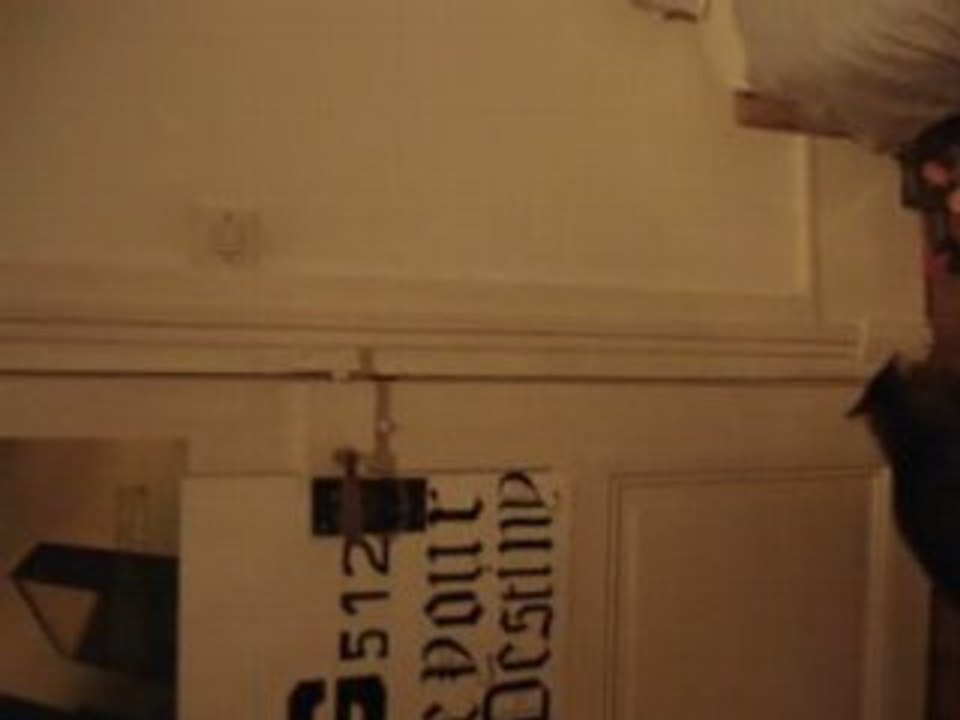 chat qui ouvre les portes