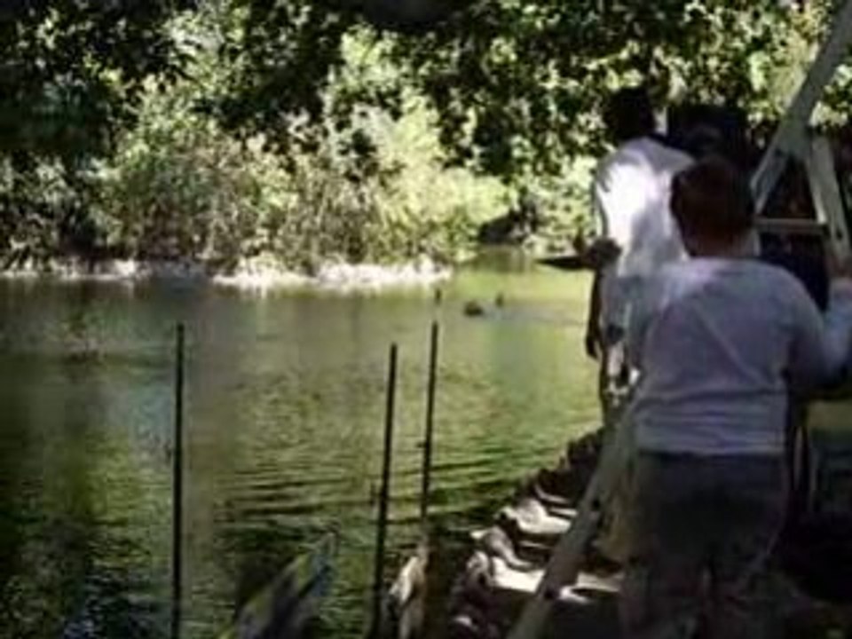 La fête des bateaux