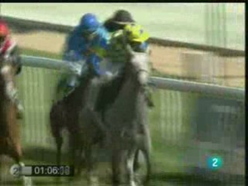 2008.09.14, nº 356 LZ (Cruzcampo (2a Potrancas ng, C) Zaira