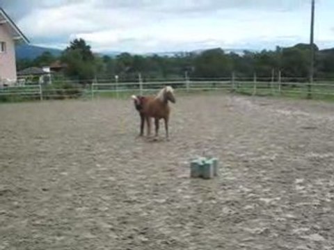 Wodka reculé par aspiration