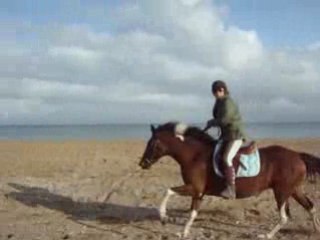 galop-plage cabourg