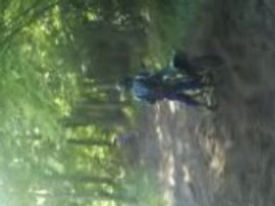 bois de launoy