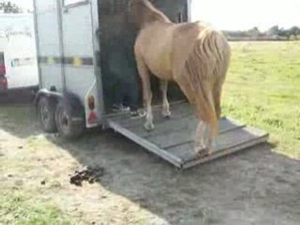 Monter dans le van .