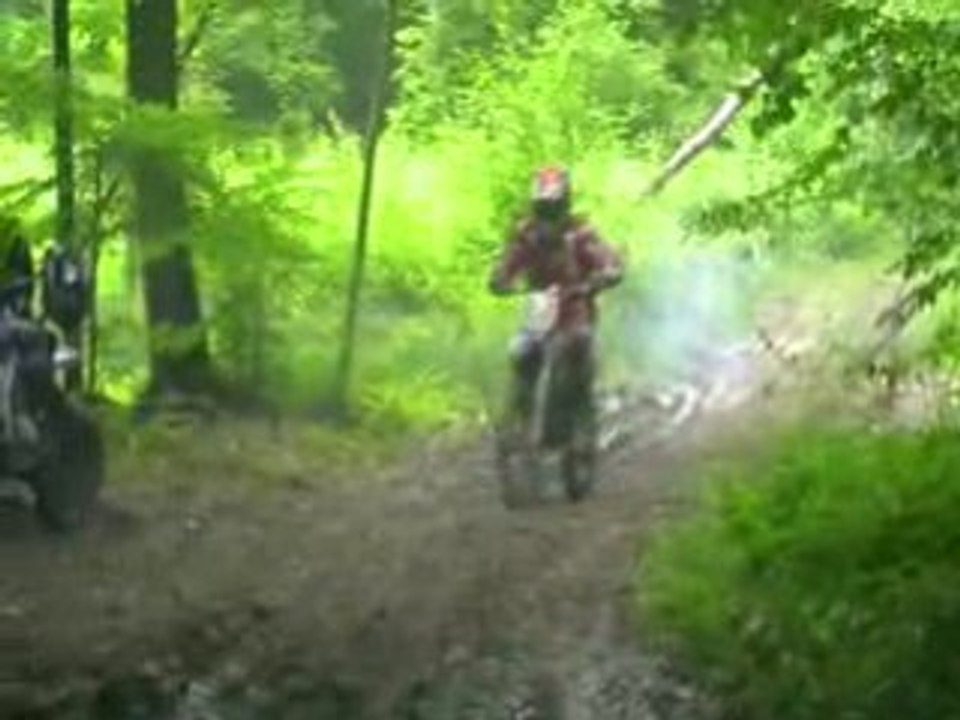 un p'tit tour en foret