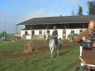 Moi et Thelma marche vers padock