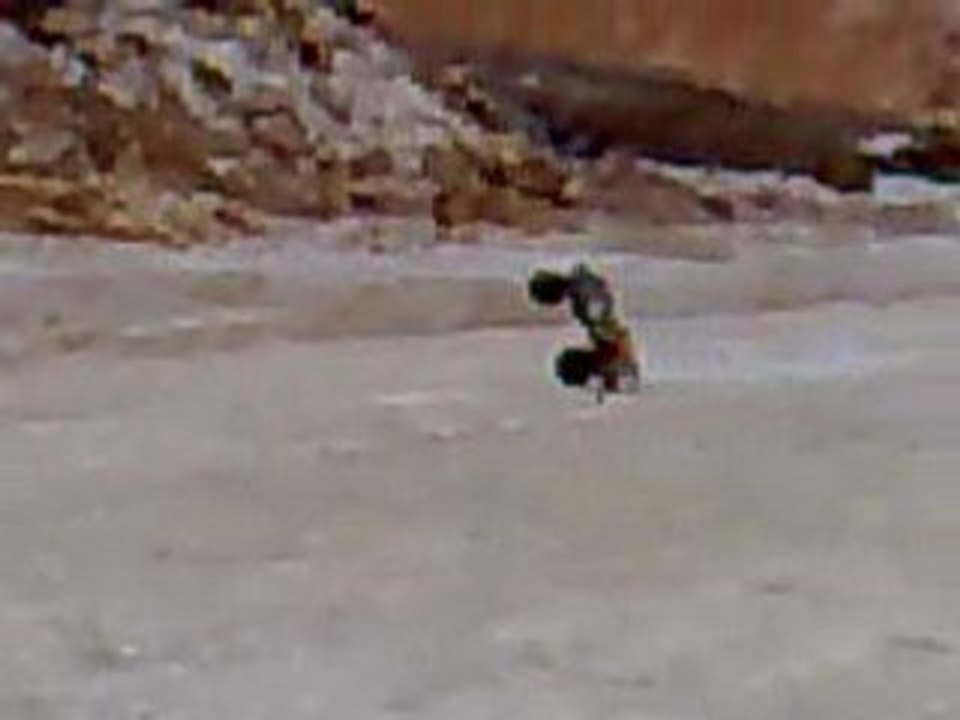 hpi Savage 21 moteur k 4.6 ho