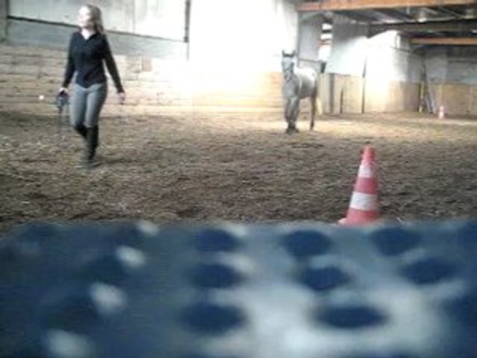 Start up septembre 2008 marche/trot en main