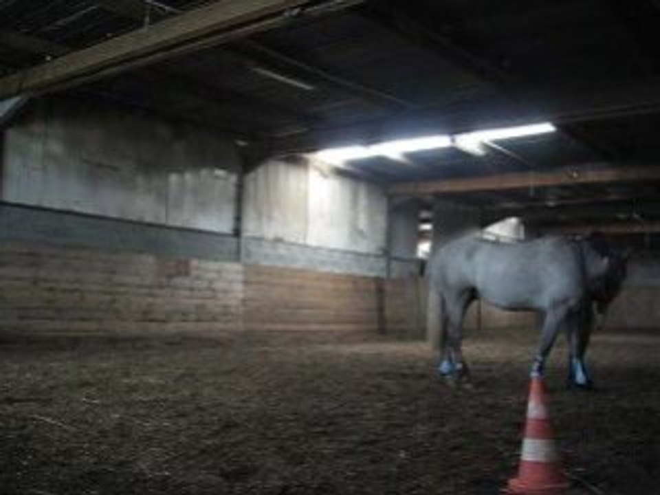 Start up septembre 2008 flexions et donner la tête