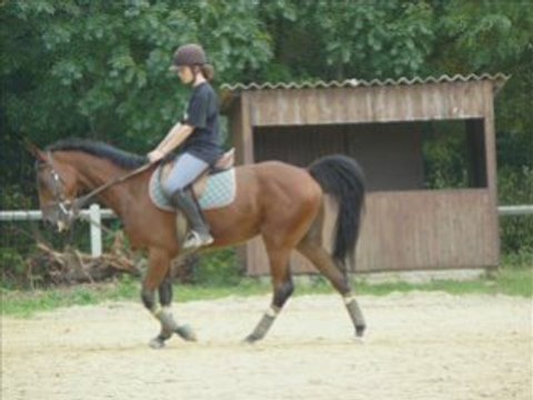 Pacha et Moi Samedi en cours