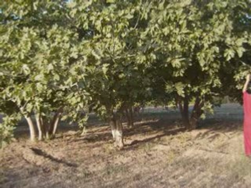 Mnoud 2008